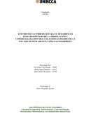 ESTUDIO DE FACTIBILIDAD PARA EL DESARROLLO INDUSTRIALIZADO DE LA PRODUCCIÓN Y COMERCIALIZACIÓN DEL COLAGENO EXTRAÍDO DE LA ESCAMA DE PESCADO EN CAPSULAS INGERIBLES