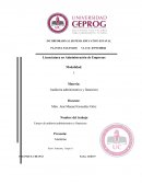 Auditoria Administrativa y Auditoria Financiera