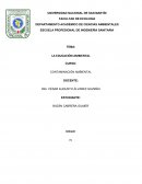 Antecedentes historicos de la contaminacion ambiental