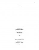 Mercado y tipos de mercados