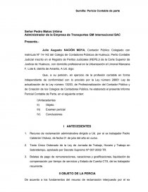 INFORME PERICIAL CONTABLE. Página 1