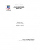 CLAVE TAXONOMICA. BIOLOGIA Y CONDUCTA