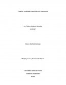 Evolución, creatividad e innovación en la Arquitectura