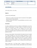 Actividad abierta: empresa Airsolide