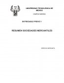 RESUMEN SOCIEDADES MERCANTILES