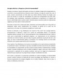 ENERGIA ELECTRICA. PROGRESO O FIN DE LA HUMANIDAD