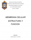 MEMBRANA CELULAR . ESTRUCTURA Y FUNCION