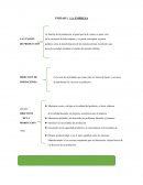 Empresa. Desarrollo de producto