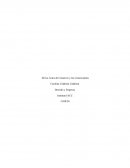 De los Actos de Comercio y los Comerciantes. Derecho y Empresa