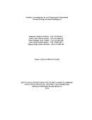 Análisis e Investigación de una Organización Empresarial