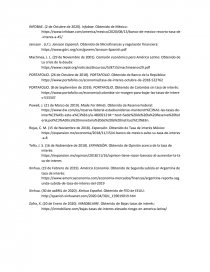 CRISIS ECONÓMICA EN AMÉRICA. Página 14