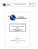 PROGRAMA DE HIGIENE Y SEGURIDAD