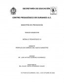 PERFIL DE EGRESO DEL NUEVO MAESTRO