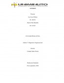 Análisis Y Diagnostico Organizacional