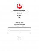 Finanzas internacionales ORO