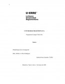 Aborto Metodología de la investigación