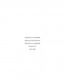 Introduccion a la contabilidad