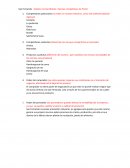 San Fernando Análisis microambiente –fuerzas competitivas de Porter