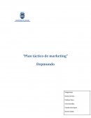 Plan táctico de marketing. Fabrica, importadora y comercializadora de prendas deportivas y artículos para el deporte J&A, S.R.L