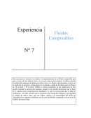 Fluidos compresibles