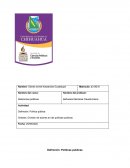 Política pública Síntesis: División de actores en las políticas publicas