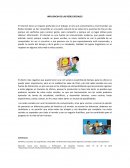 DIMENSIONES Y NIVELES INFLUENCIA DE LAS REDES SOCIALES