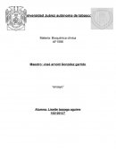 Importancia de los electrolitos y la hidratación en la actividad fisica