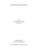 Evidencia 6: Ejercicio práctico “Piensa positivo”