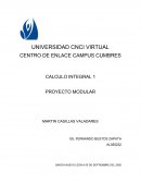 CALCULO INTEGRAL 1 PROYECTO MODULAR