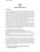 PERSONA, SOCIEDAD Y DERECHO