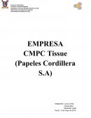 Informe CMPC - proceso y optimización