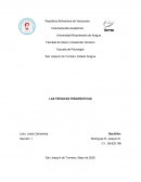 Las Técnicas Terapéuticas