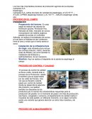 Los tres más importantes procesos de producción agrícola de la empresa Camposol S.A