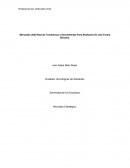 Administración De Empresas. Mercadeo Estratégico