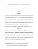 INFORME DE LABORATORIO. RELACIONES ESTEQUIOMETRICAS