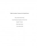Aprendizaje y Enseñanza de la Geografía (Ensayo)