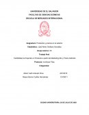 Factibilidad de Exportar un Producto a partir del Marketing Mix y Precio Definido