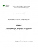 La profesionalización del servicio público; una necesidad para lograr el Desarrollo y el buen funcionamiento del Estado