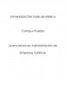Factores que influyen en el comportamiento del consumidor turista: el caso de Manzanillo, México