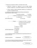 Argumentación Jurídica. Guia Procesal