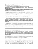 Campos de actuación del abogado en materia laboral