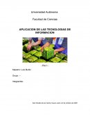 Alimentos transgenicos. Cómo reconocerlos