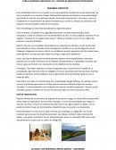 TAREA ACADEMICA INDIVIDUAL N 1 – GESTION DE INNOVACION TECNOLOGICA