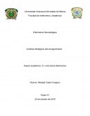 Enfermería Gerontológica . Cambios Biológicos del envejecimiento