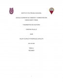 Importancia y responsabilidad de la Auditoría en los Estados Financieros