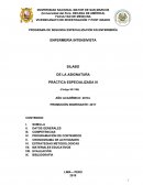 Práctica enfermeria intensivista