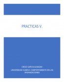 Practica 5. Psicología del mexicano