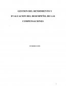 GESTION DEL RENDIMIENTO Y EVALUACION DEL DESEMPEÑO