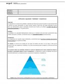 Ensayo de Economia. Definiciones: Capacidades - Habilidades – Competencias