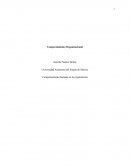 Comportamiento humano en la organización